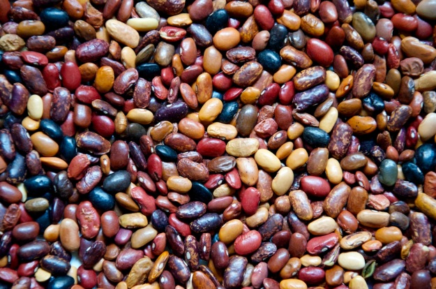 ISO1600, 105mm, f/5.6, 1/50sec - Jumla beans